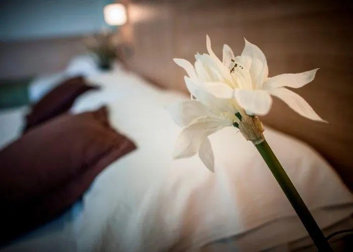 Hotel Amalfi Smart Hub & - Ideale Per Ragazzi