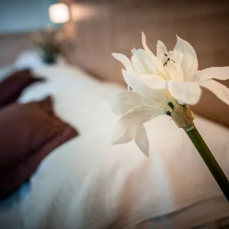 Hotel Amalfi - Smart